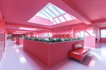 Pink in Practice: Identity, Emotion, and Experimentation in Interiors